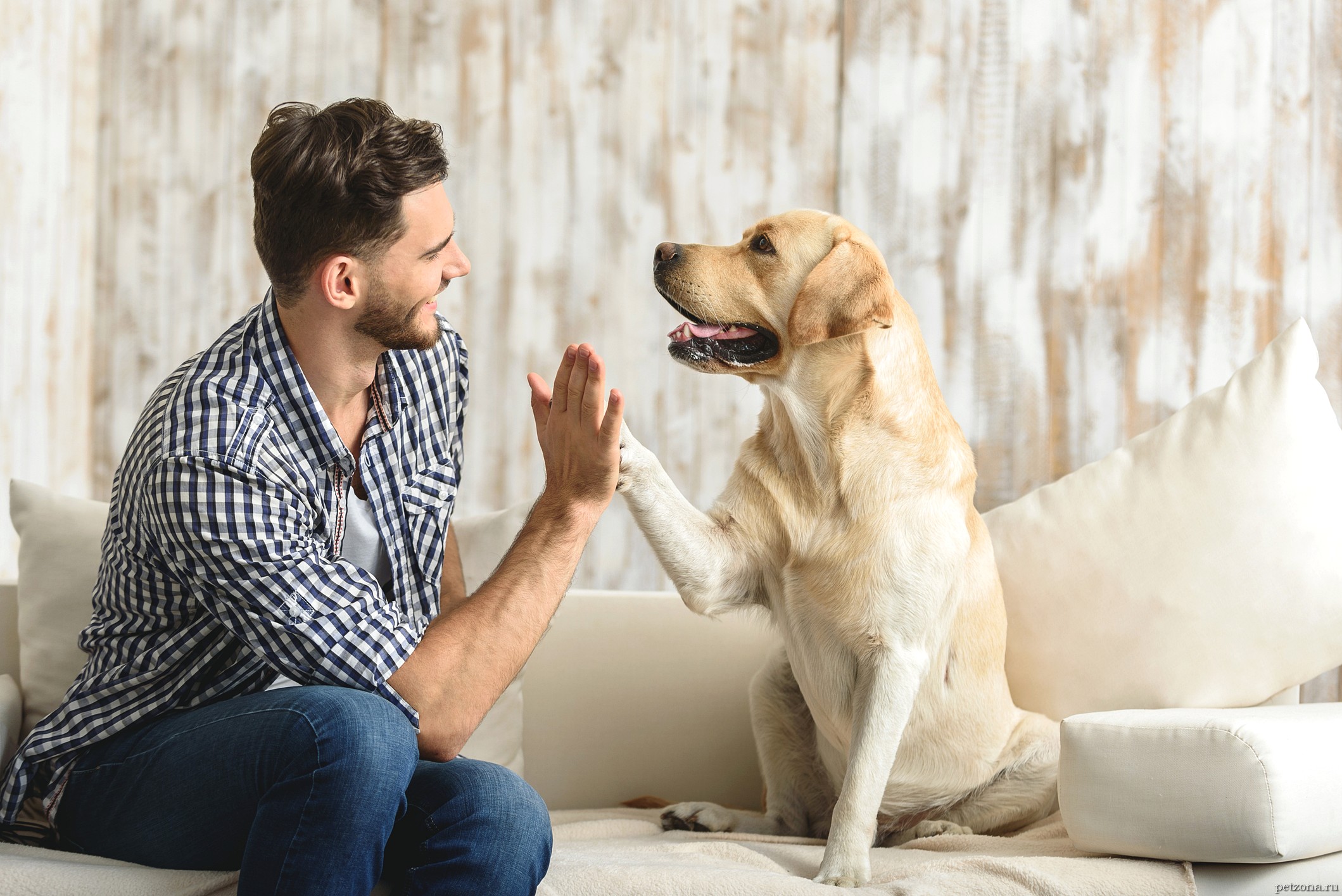 Dog with Love The Bond That Unites Humans and Their Furry Friends